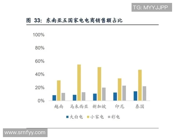 东南亚与南亚实力对比分析探讨区域发展潜力与挑战