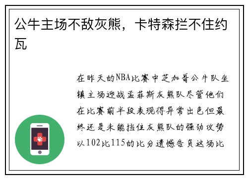 公牛主场不敌灰熊，卡特森拦不住约瓦